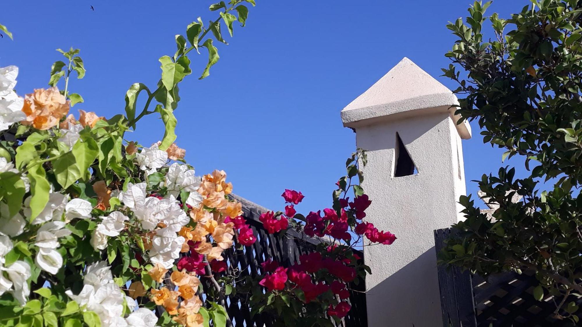 מרקש Riad Dar Zampa מראה חיצוני תמונה